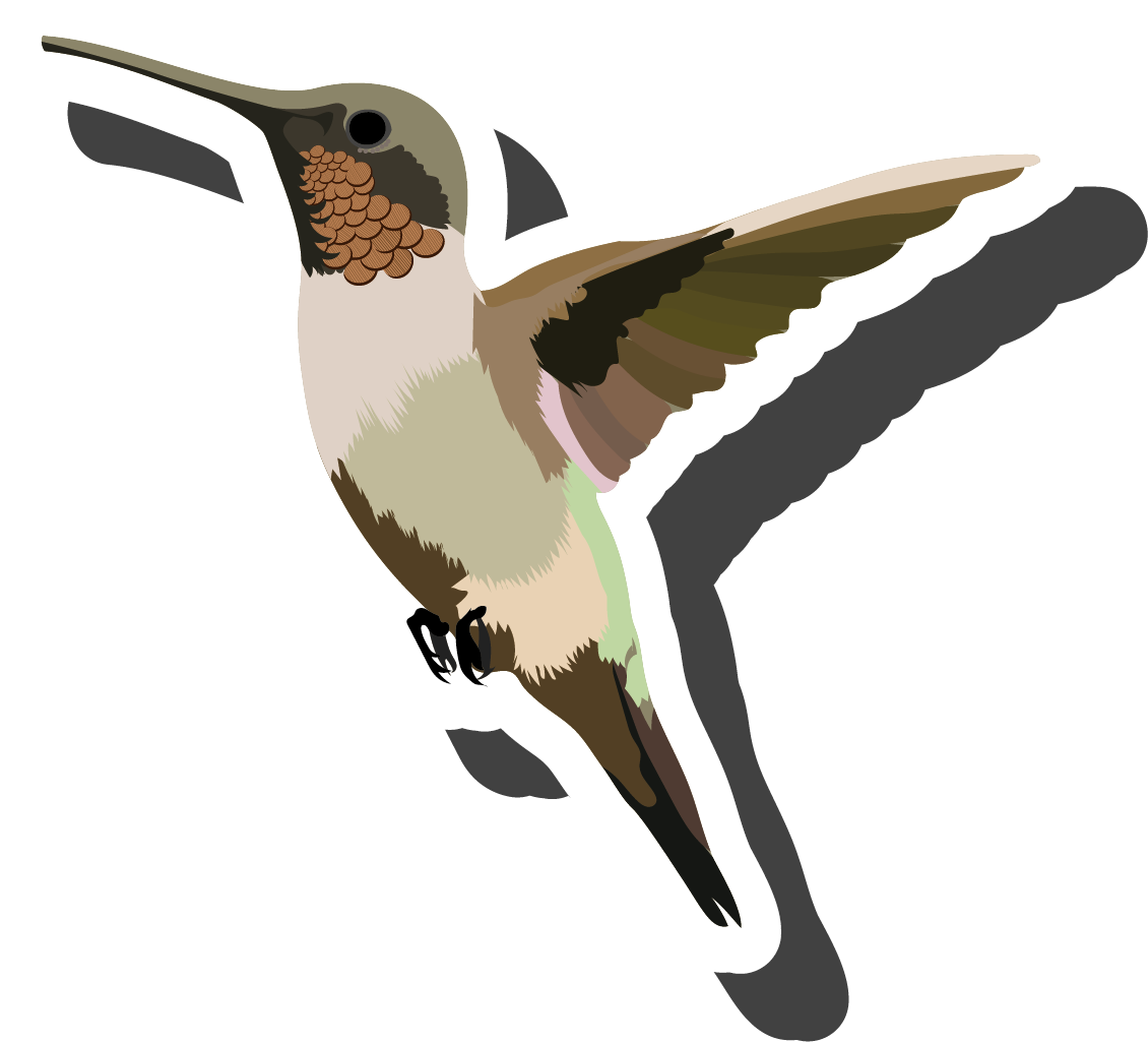 Humming Birds