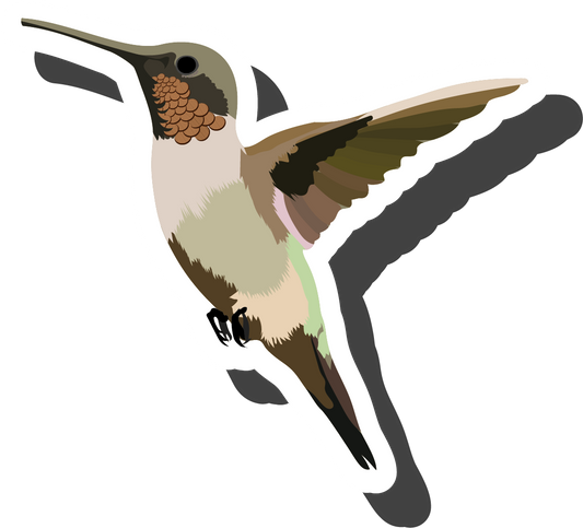 Humming Birds